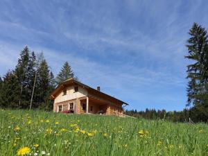 Hansns Blockh�tte im Mostviertel Hansns Blockh�tte Mostviertel